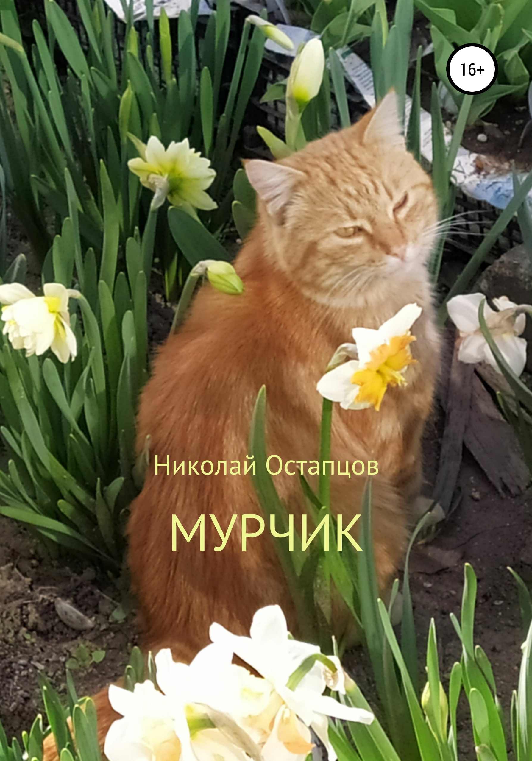 Мурчик